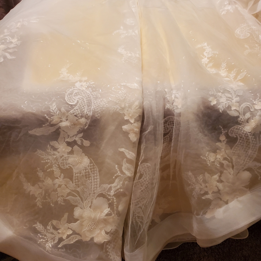 Detachable Cathedral Train Ivory Just Purchased Decided Not to attach..